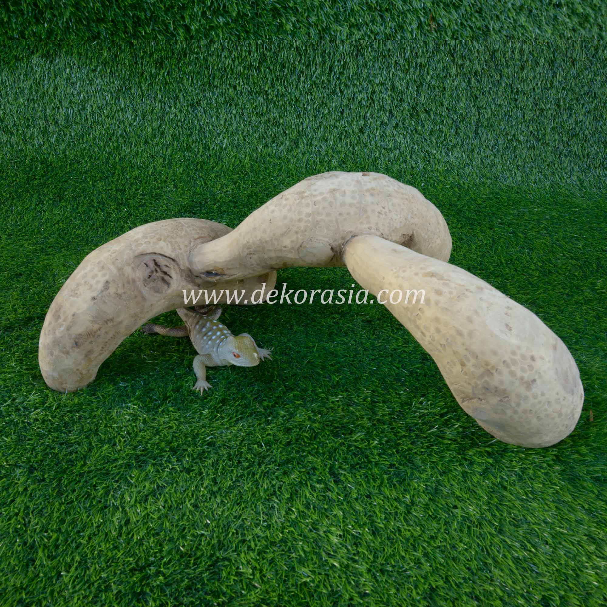 Bamboo Root (Size M), Vivariums Reptile, Aquarium, Aquascaping, Bamboo Root Decor Craft for Reptile